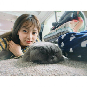 아이콘