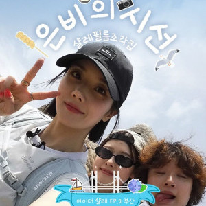 아이콘